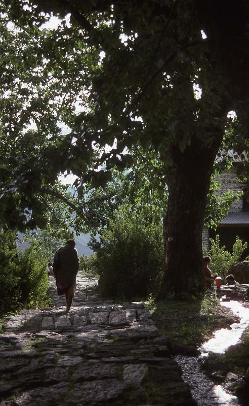 RWT 0171 181-36 Nepal.jpg